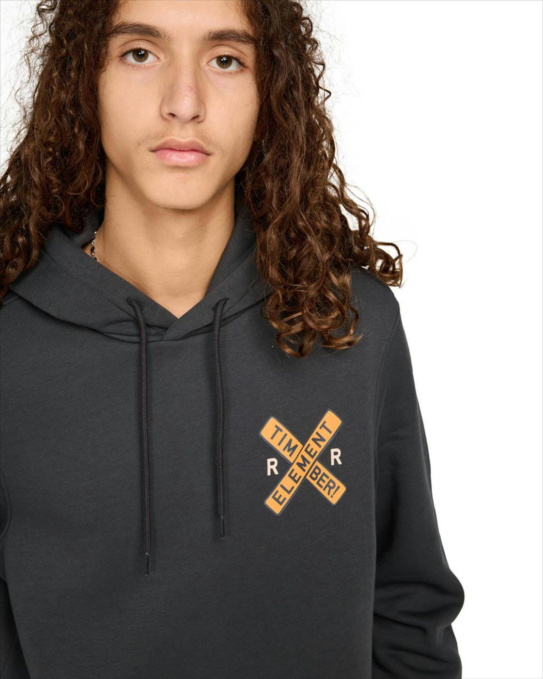 Element - Antraciete Timber hoodie