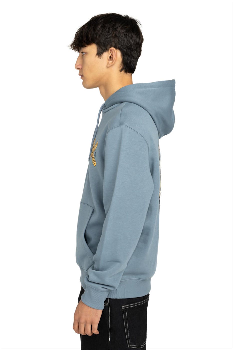 Element - Lichtblauwe Timber Freight Train hoodie