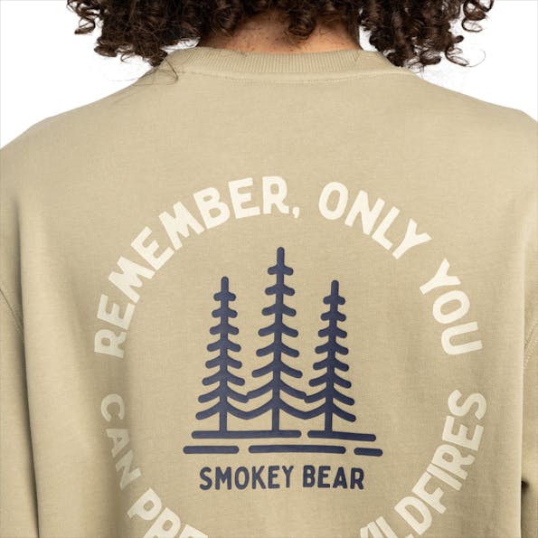 Element - Lichtgroene Remember sweater