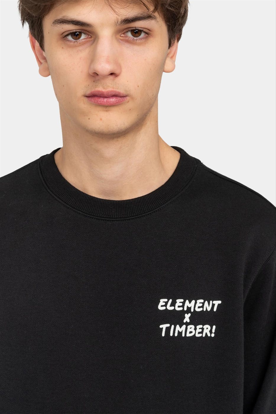 Element - Zwarte Timber Captured sweater
