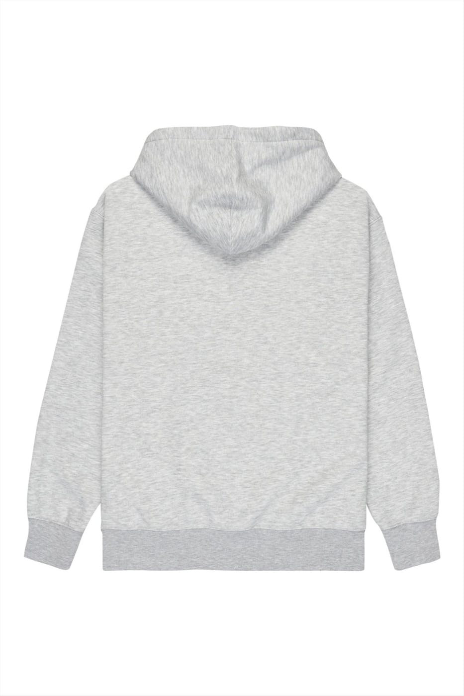 Element - Grijze Element Co. hoodie