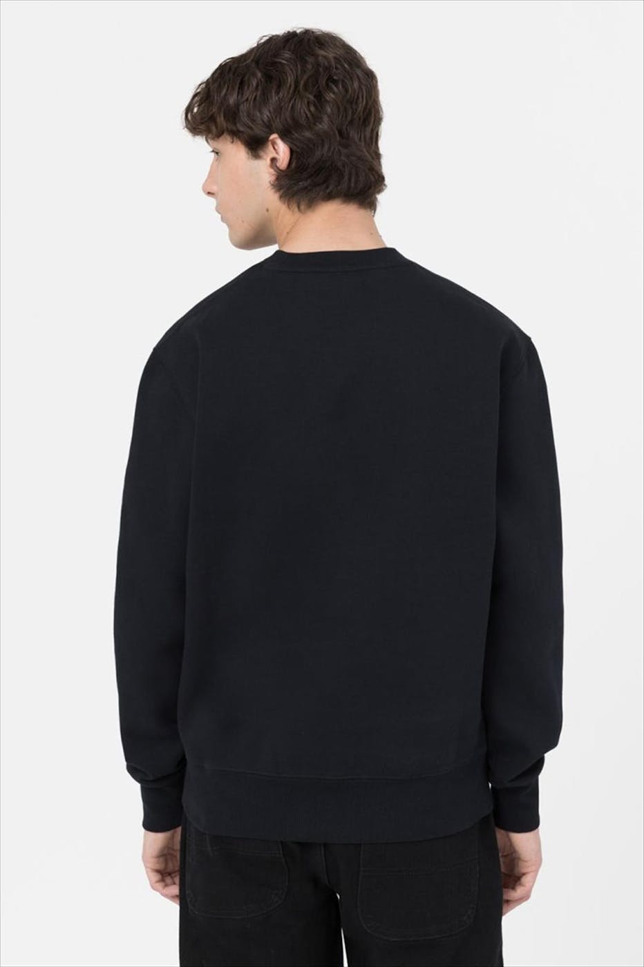 Dickies - Zwarte Summerdale sweater