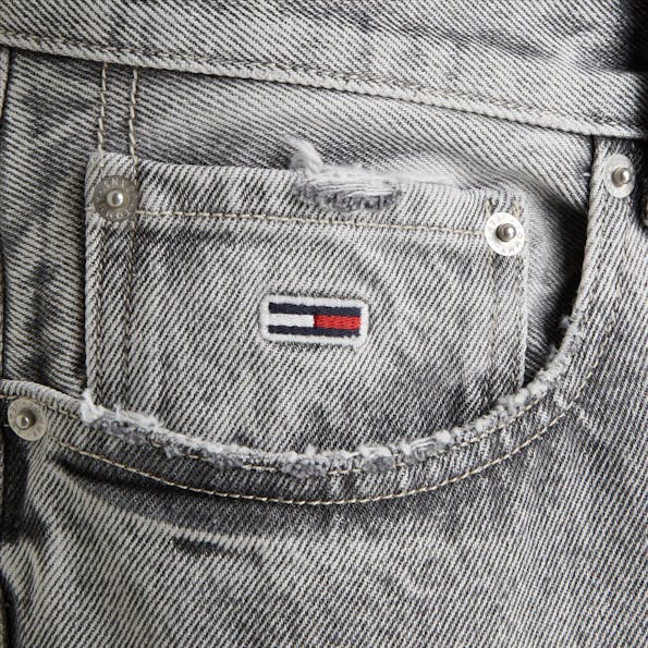 Tommy Jeans - Grijze Aiden Baggy jeans