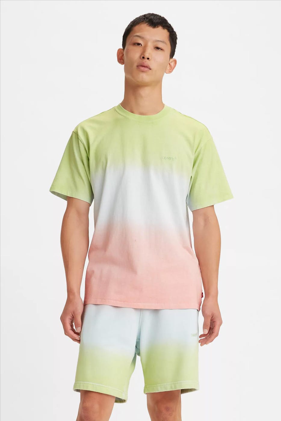 Levi's - Multicolour ombre T-shirt