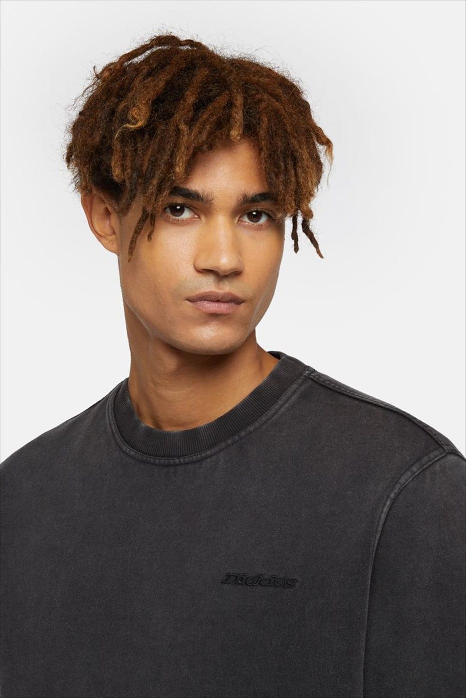 Dickies - Zwarte Plentywood sweater