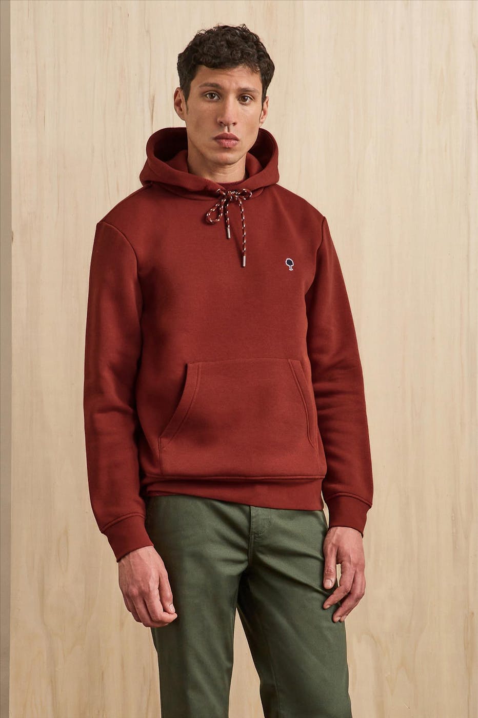 Faguo - Bordeaux Dirac hoodie