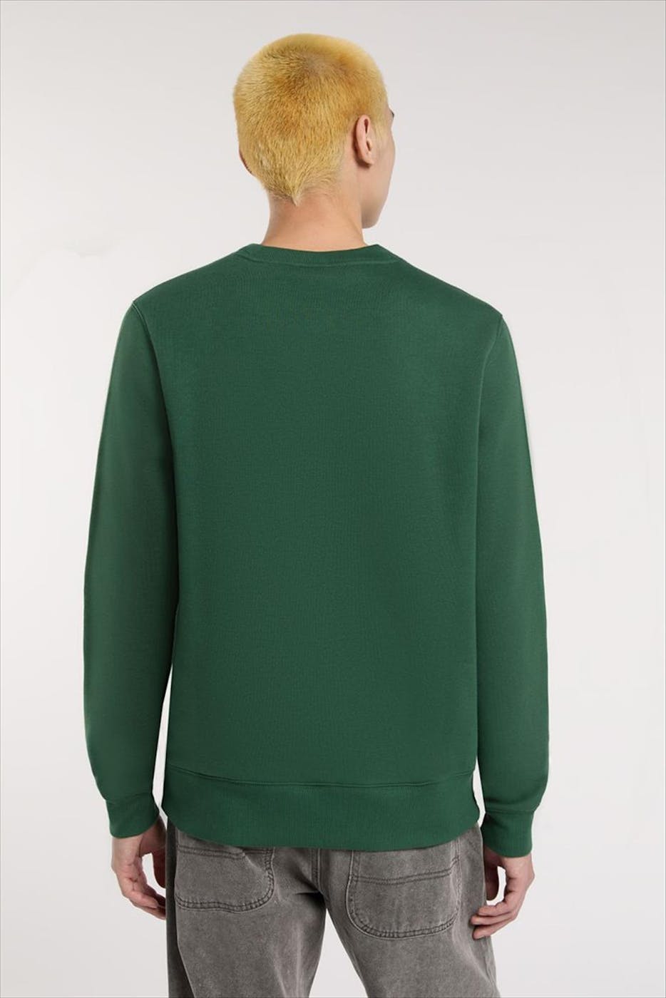 Dickies - Groene Oakport sweater