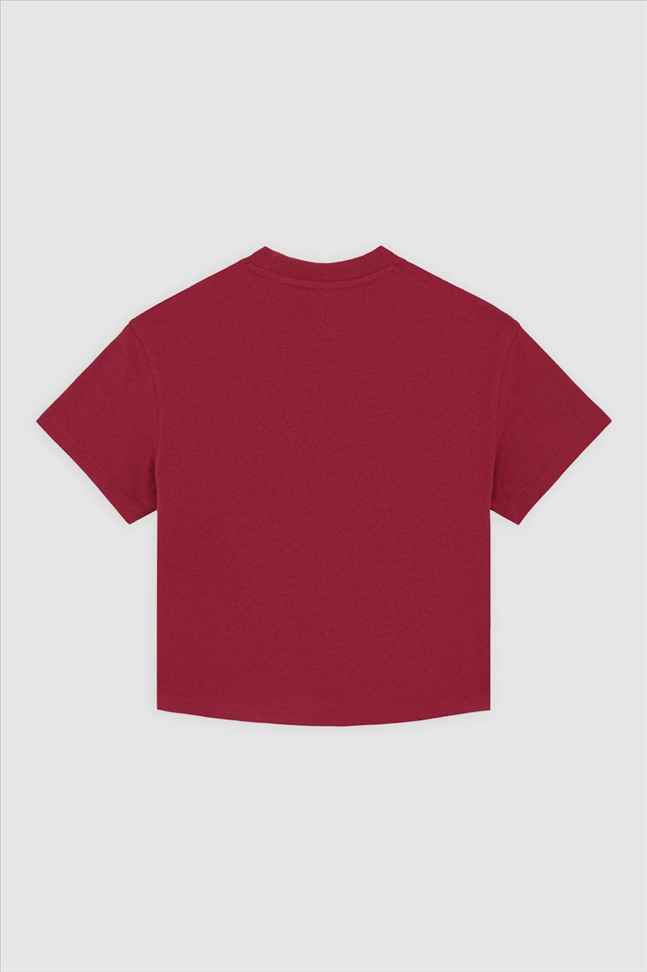 Dickies - Bordeaux Oakport Boxy T-shirt