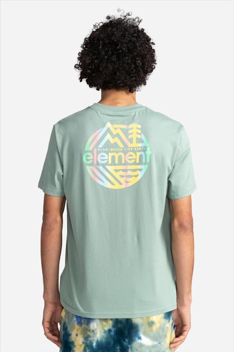 Element - Mintgroene Burkett T-shirt met rugprint