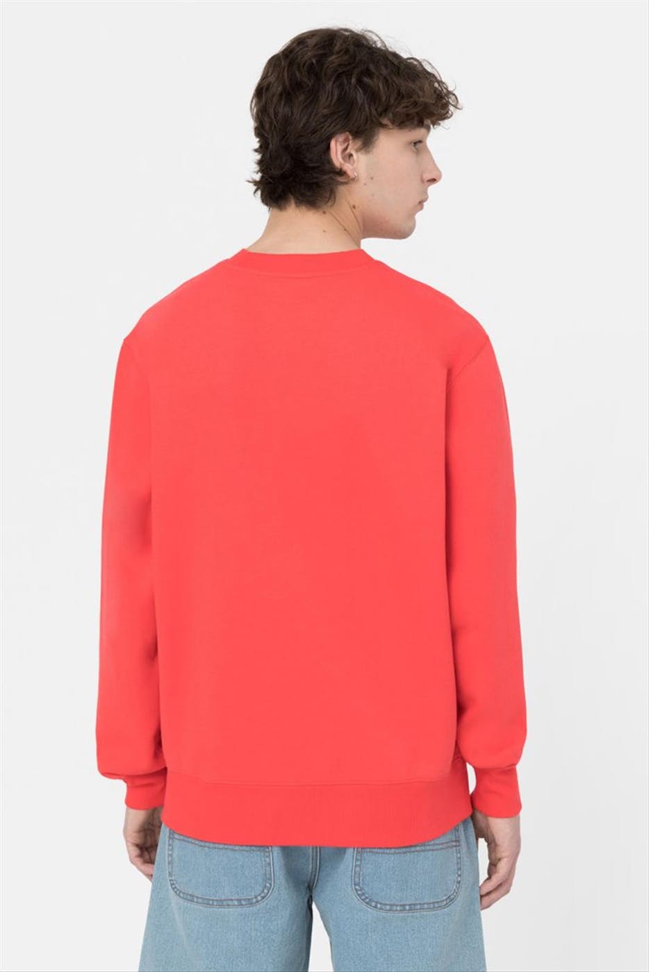 Dickies - Koraalrode Summerdale sweater