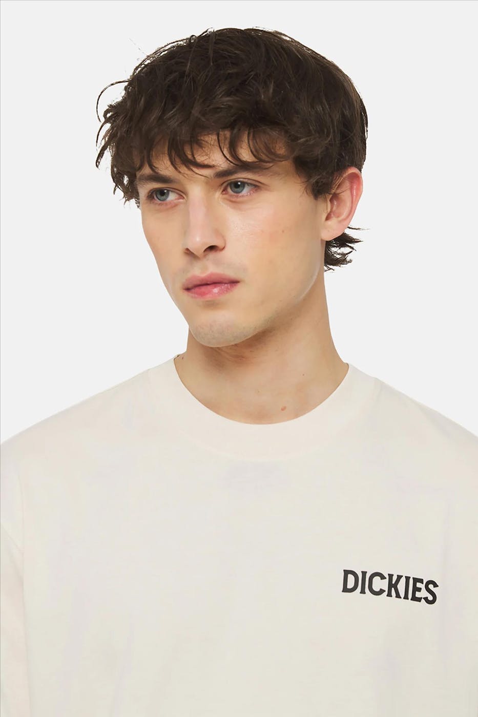 Dickies - Ecru Beach T-shirt