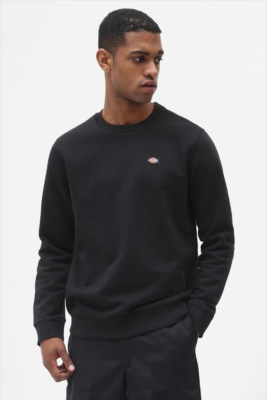 Dickies - Zwarte Oakport sweater