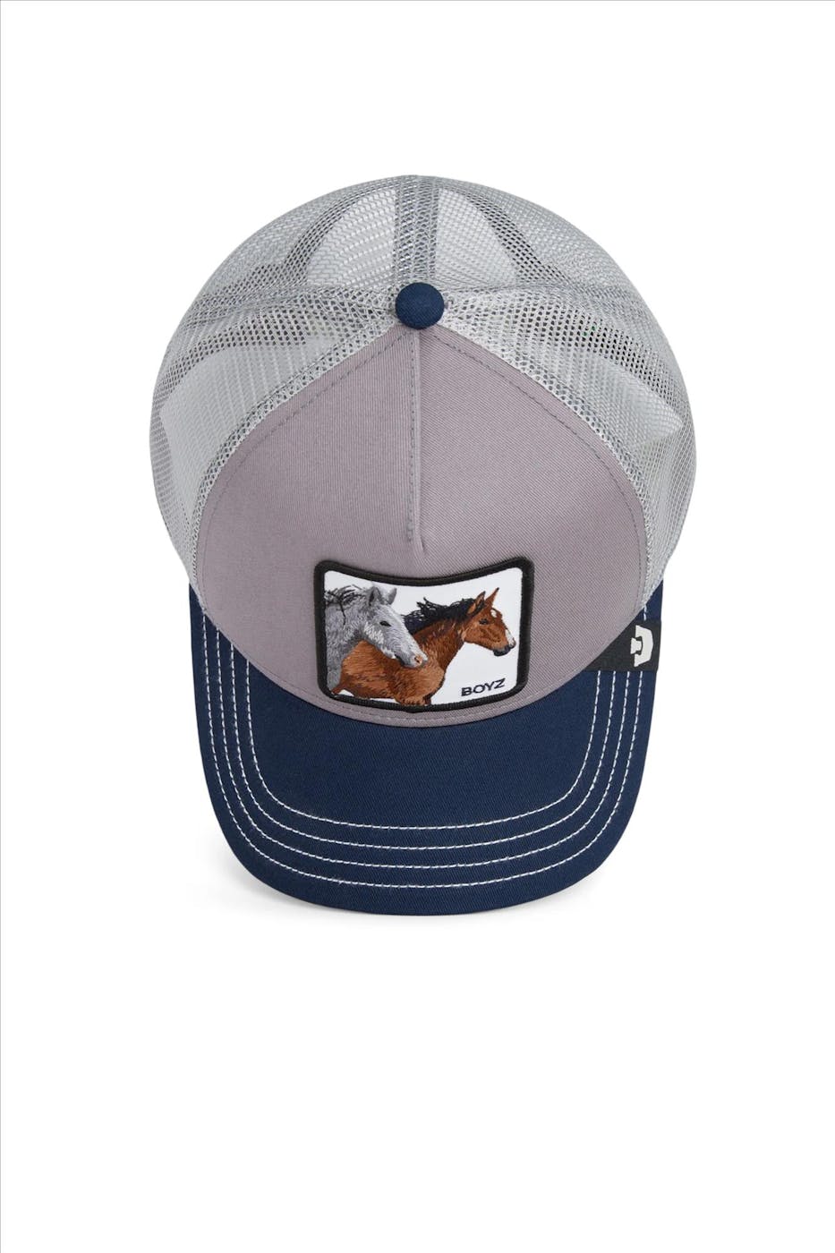 Goorin - Blauw-Grijze Boyz pet