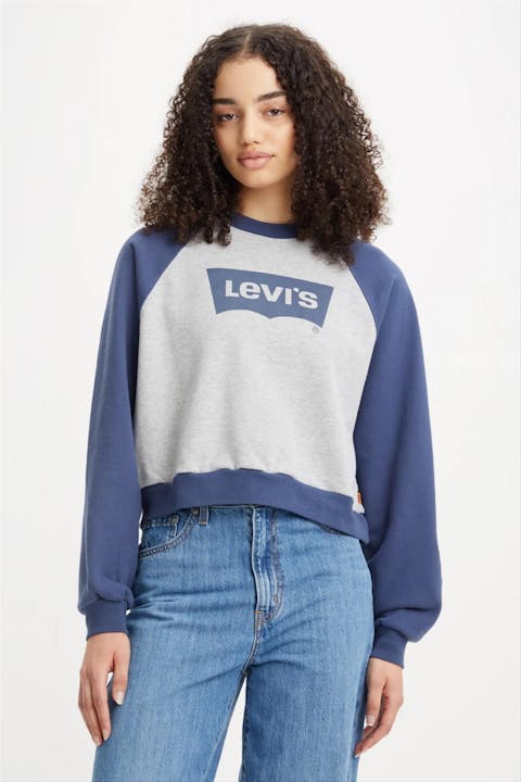 Levi's - Blauw-grijze Logo sweater