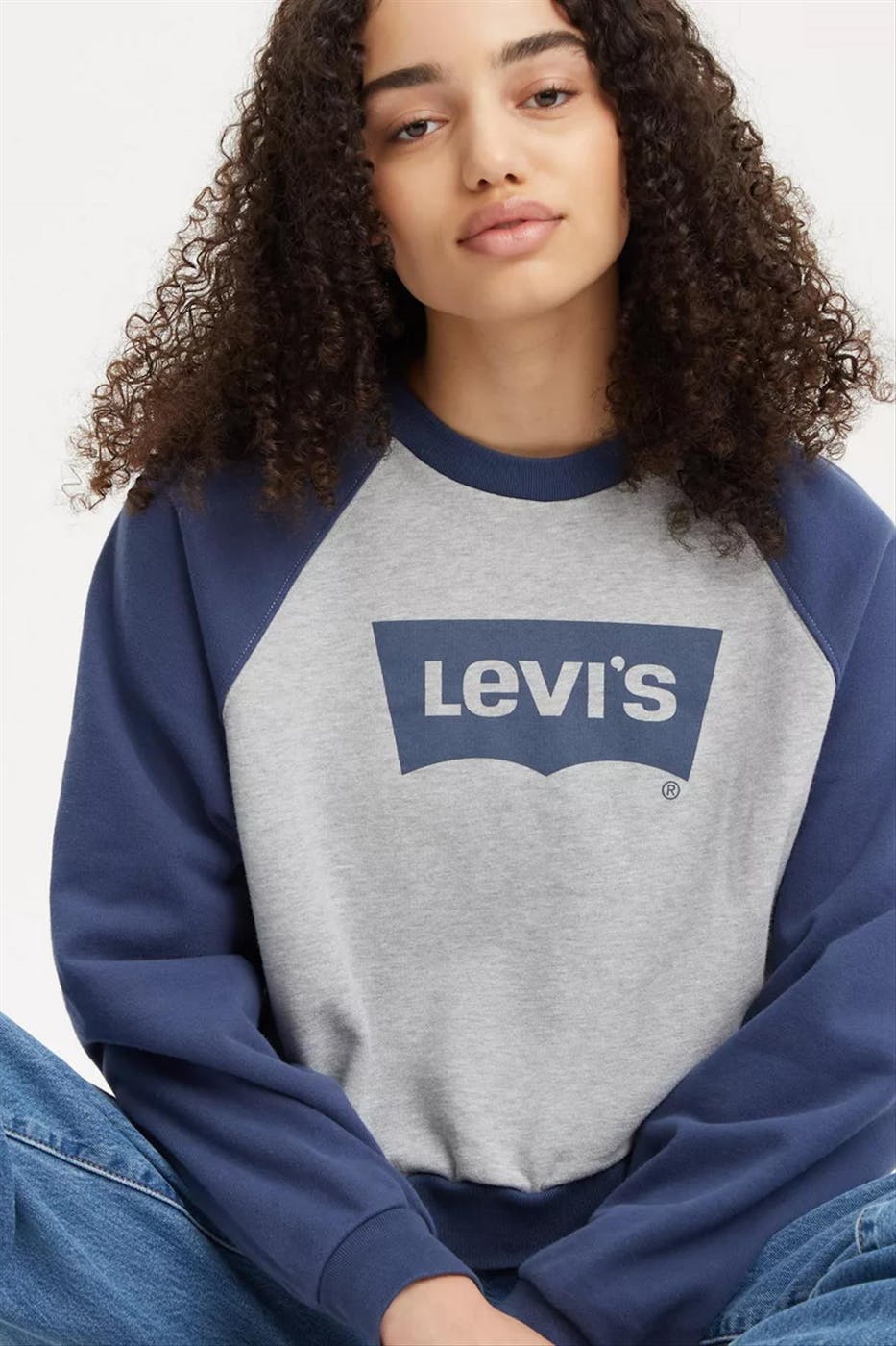 Levi's - Blauw-grijze Logo sweater