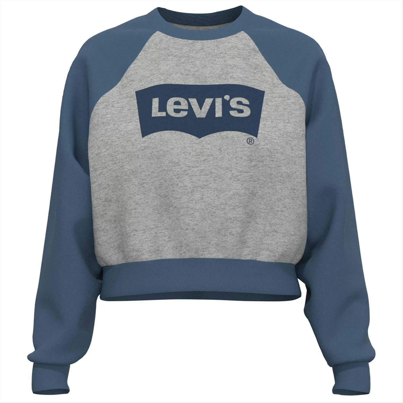 Levi's - Blauw-grijze Logo sweater