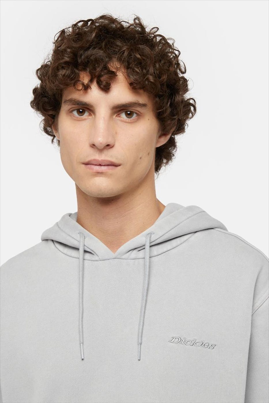 Dickies - Grijze Plentywood hoodie