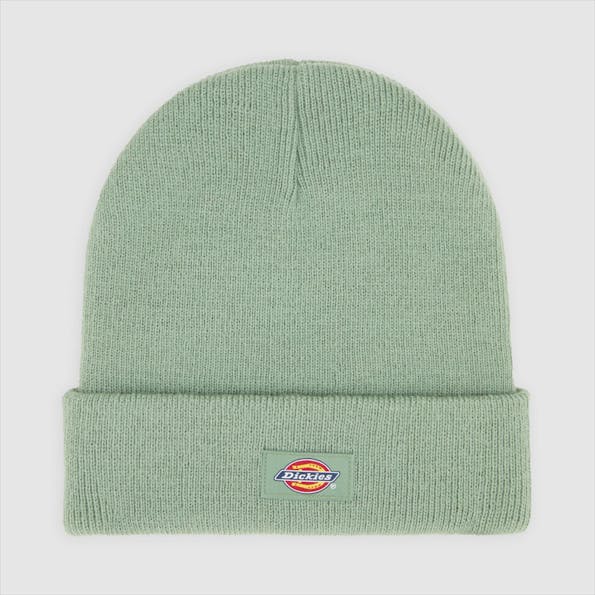 Dickies - Mintgroene Gibsland muts