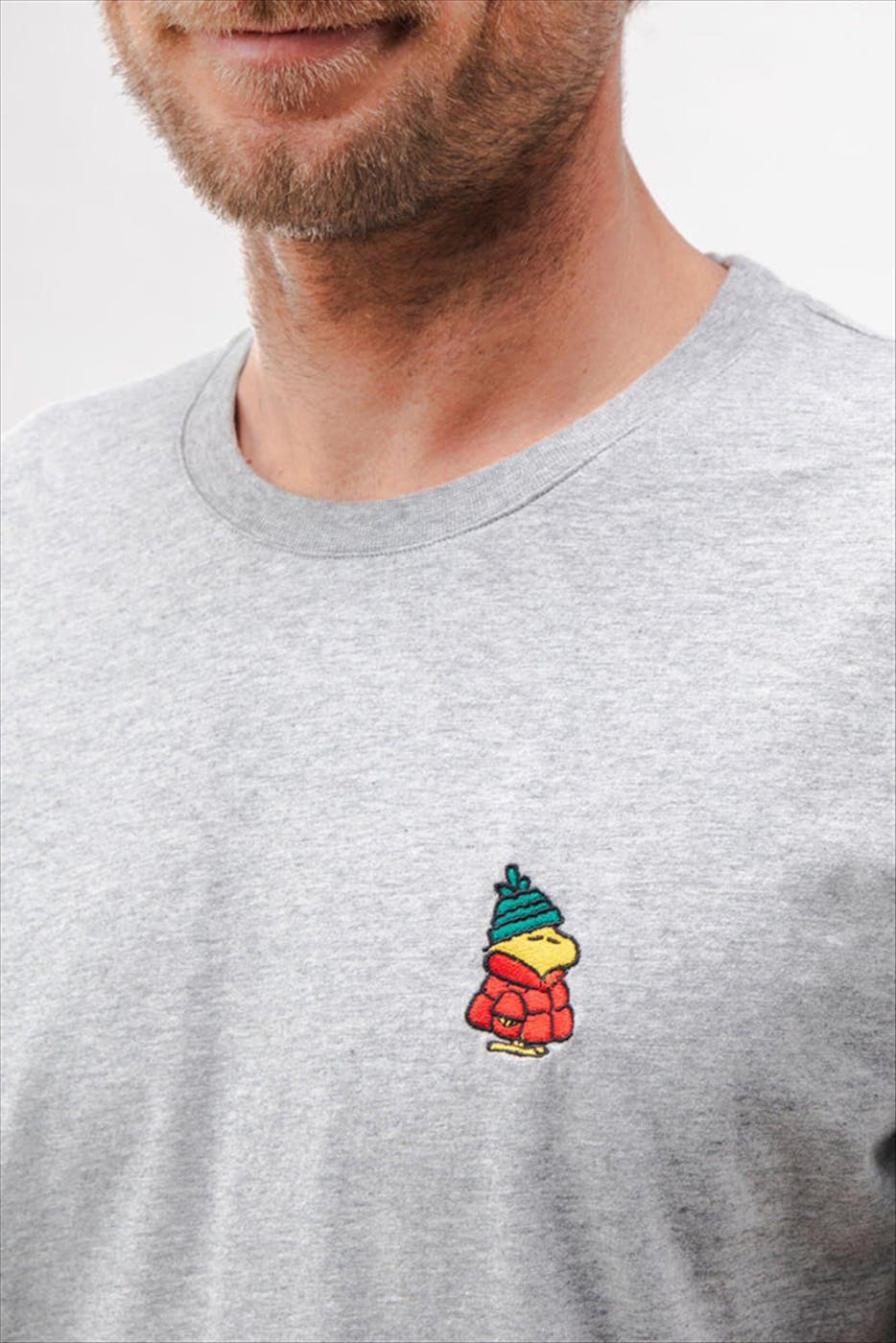 Brava - Grijze Peanuts Snow T-shirt