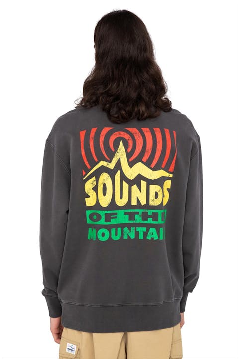 Element - Donkergrijze Mountain Sound sweater