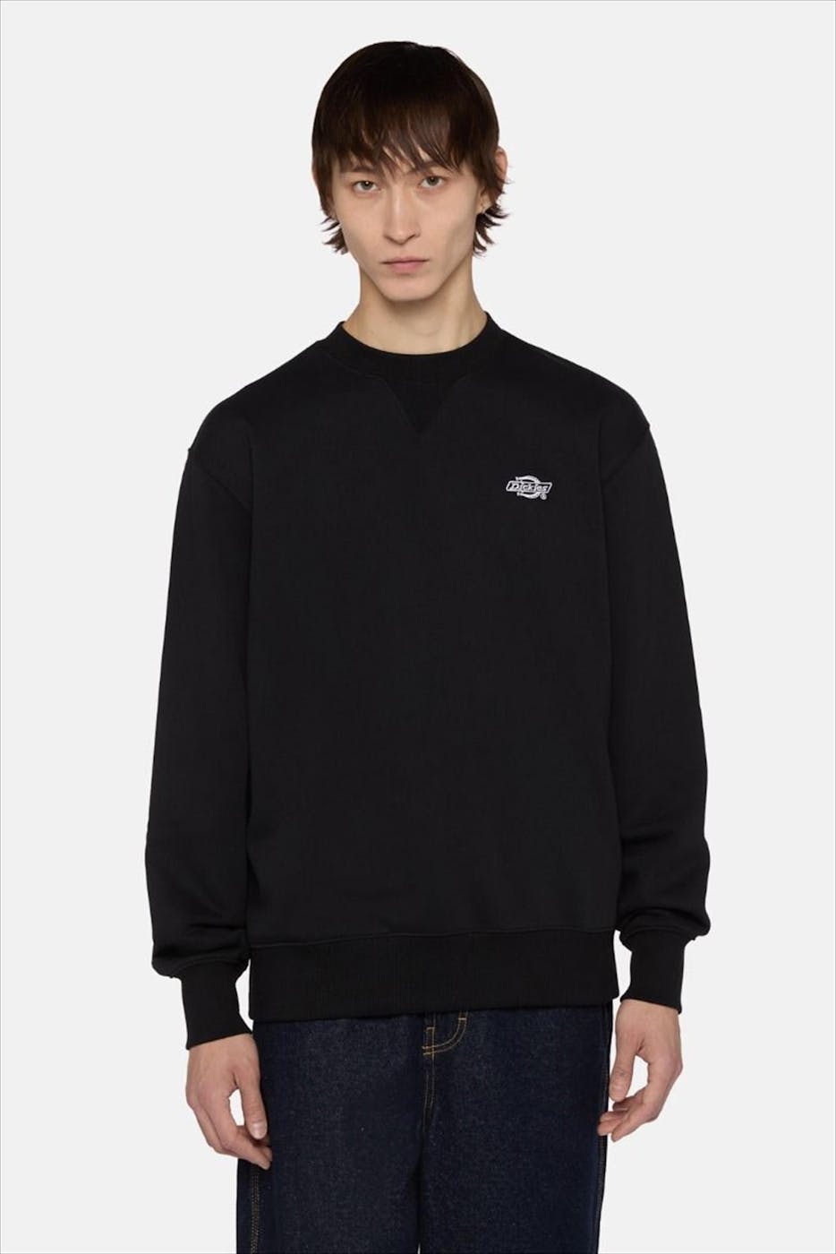 Dickies - Zwarte Summerdale sweater