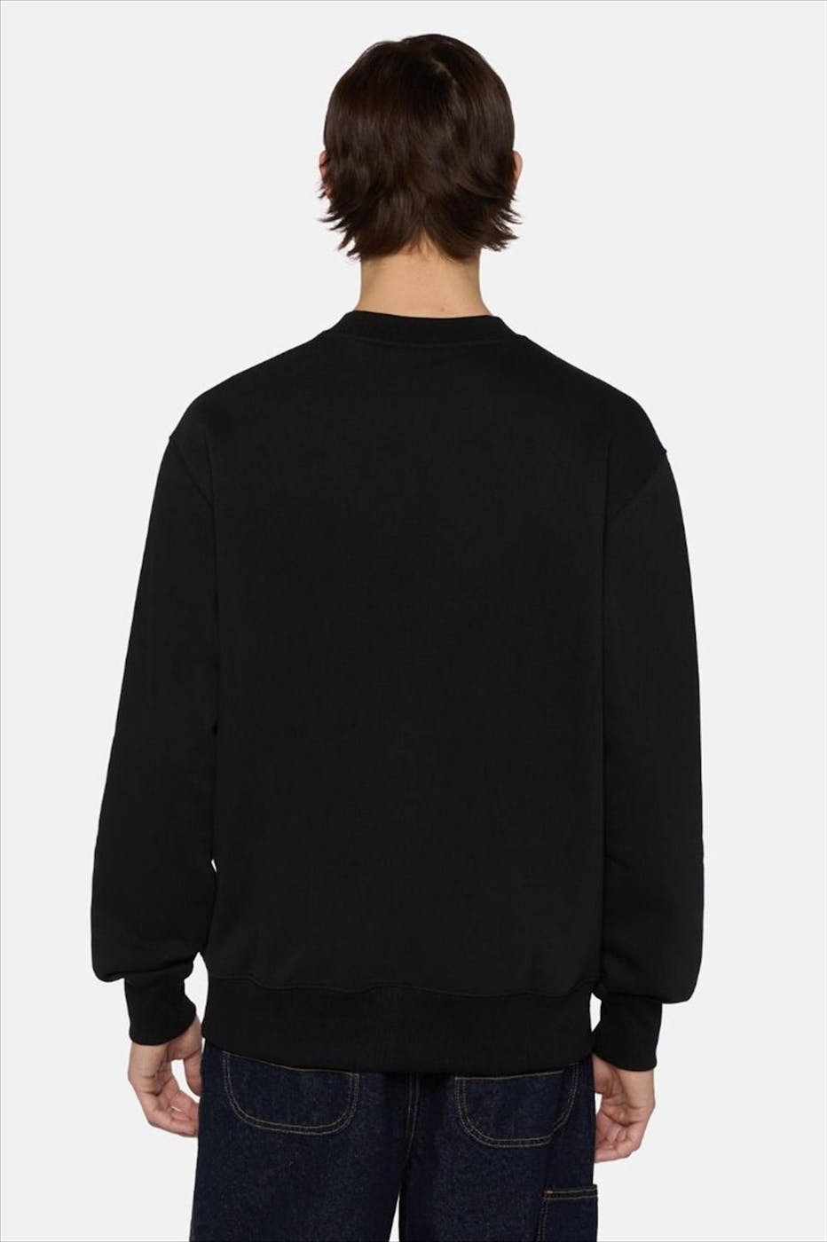 Dickies - Zwarte Summerdale sweater