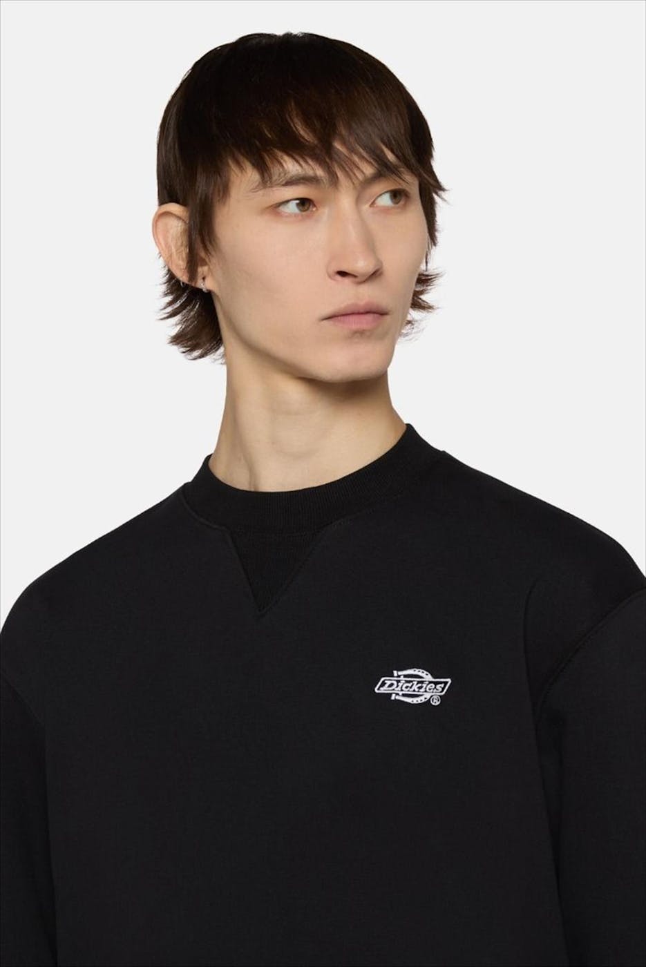 Dickies - Zwarte Summerdale sweater