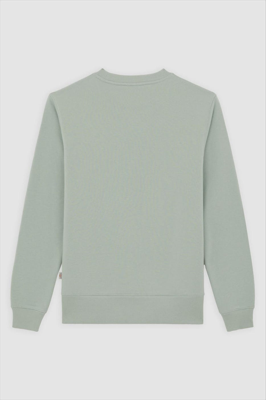 Dickies - Mintgroene Oakport sweater
