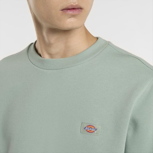 Dickies - Mintgroene Oakport sweater