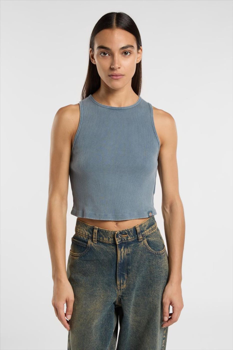 Dickies - Grijsblauwe Plentywood top