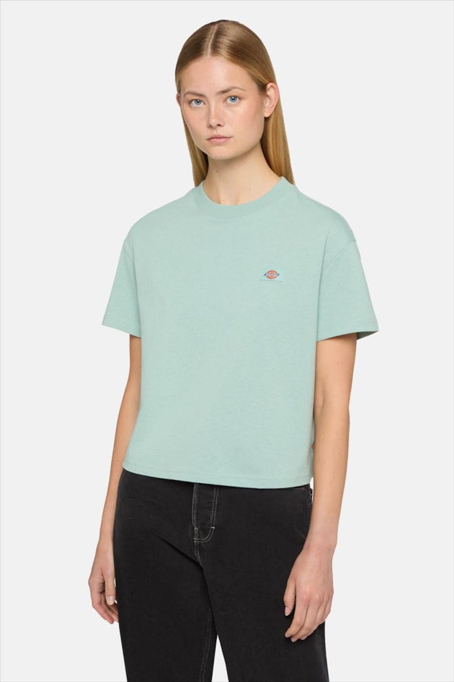 Dickies - Mintgroene Oakport T-shirt