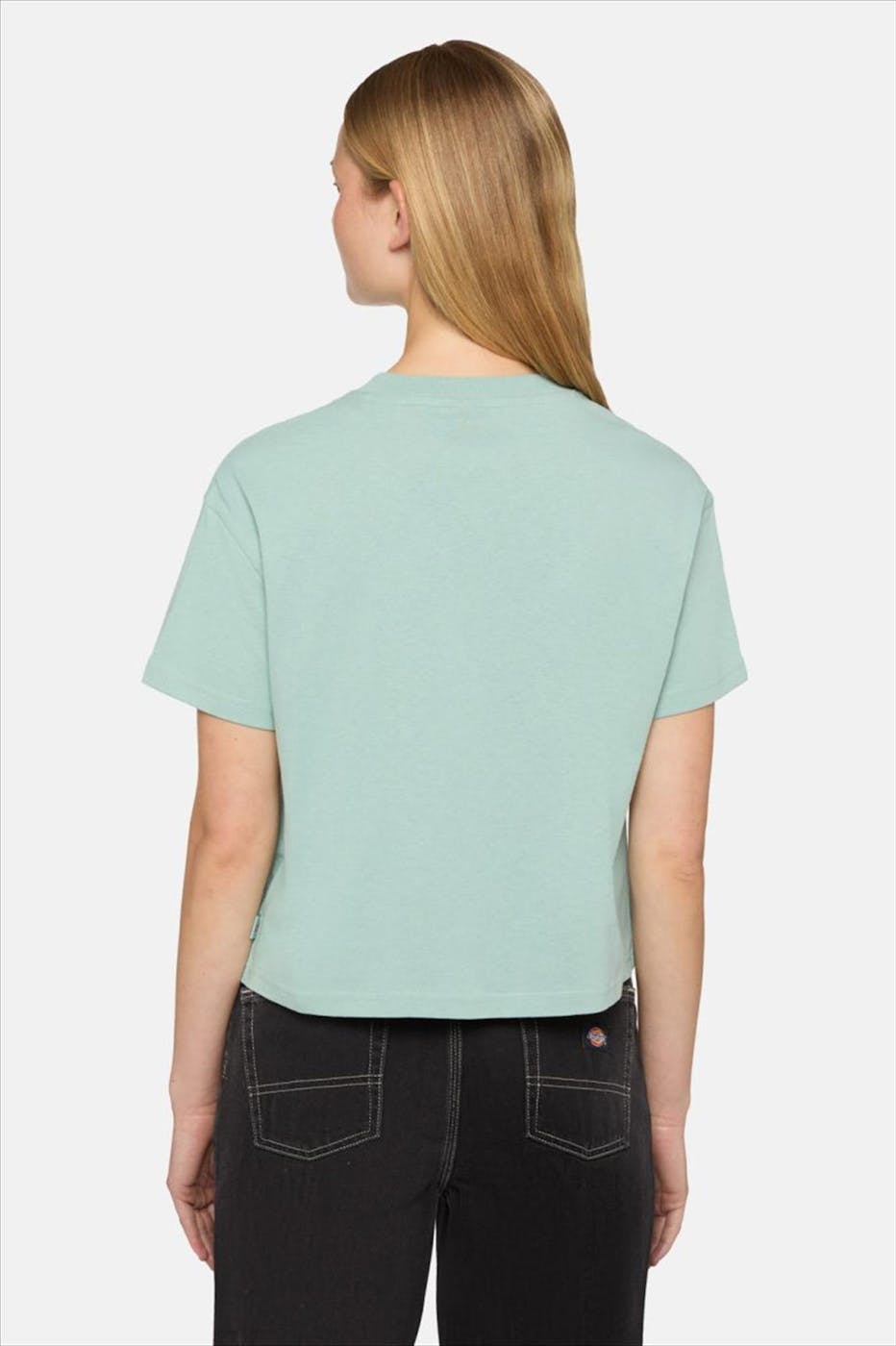 Dickies - Mintgroene Oakport T-shirt