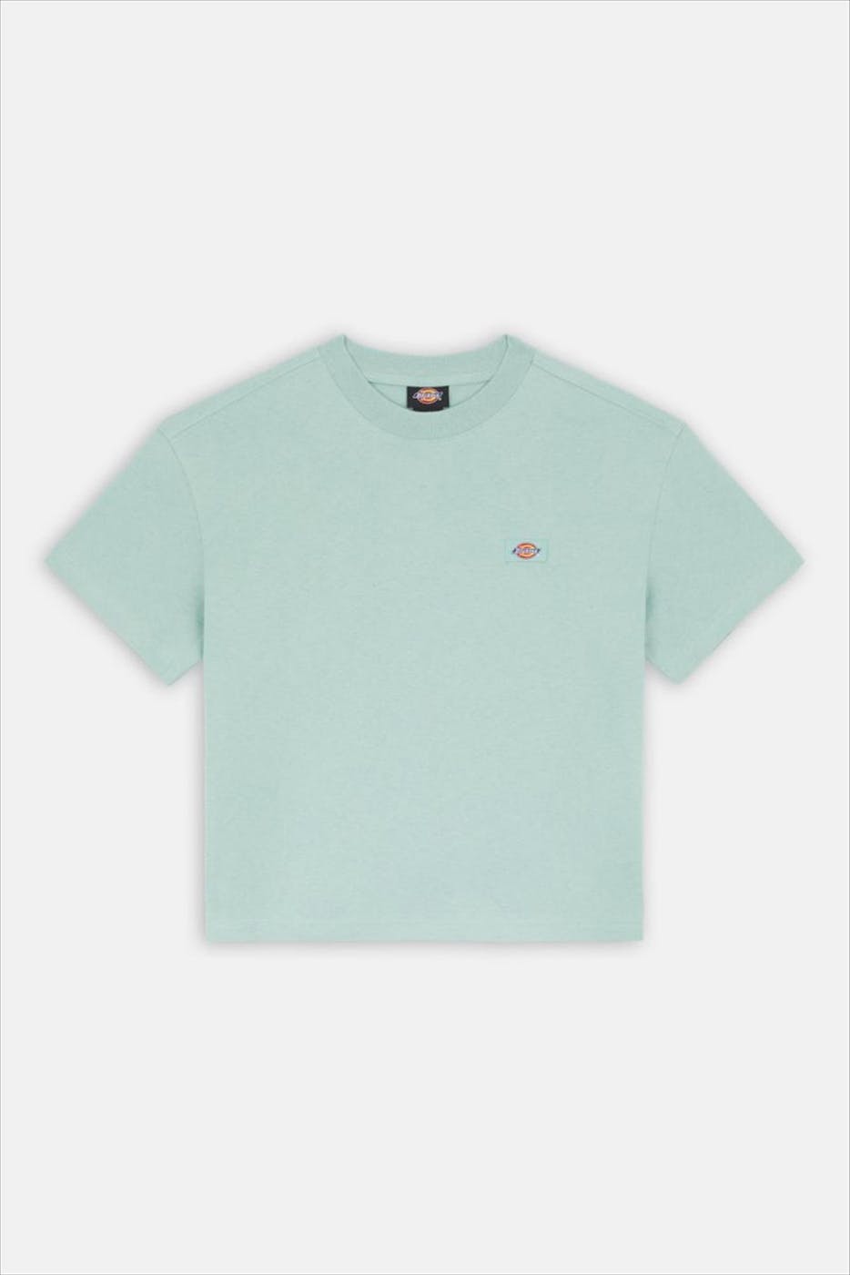 Dickies - Mintgroene Oakport T-shirt