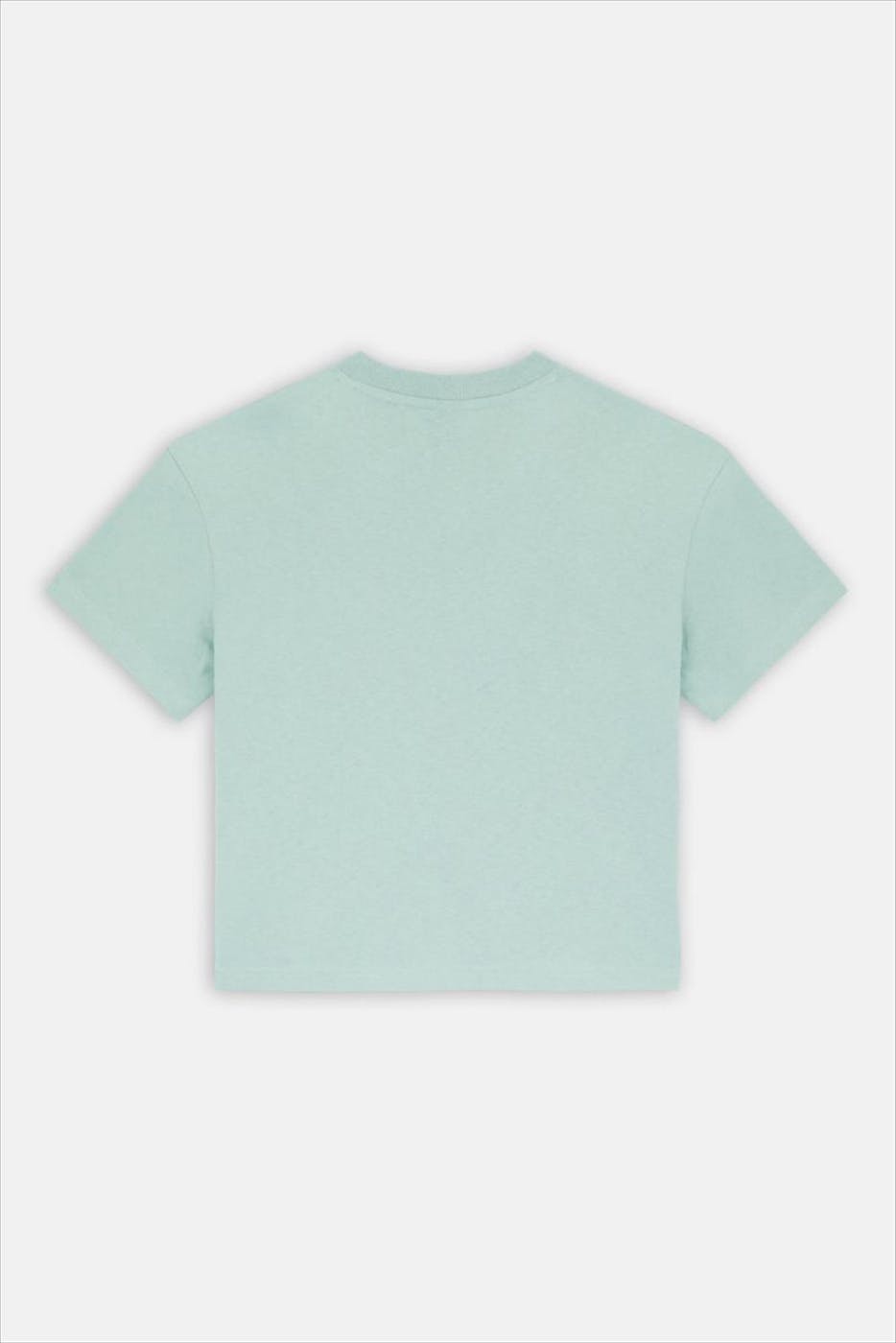 Dickies - Mintgroene Oakport T-shirt