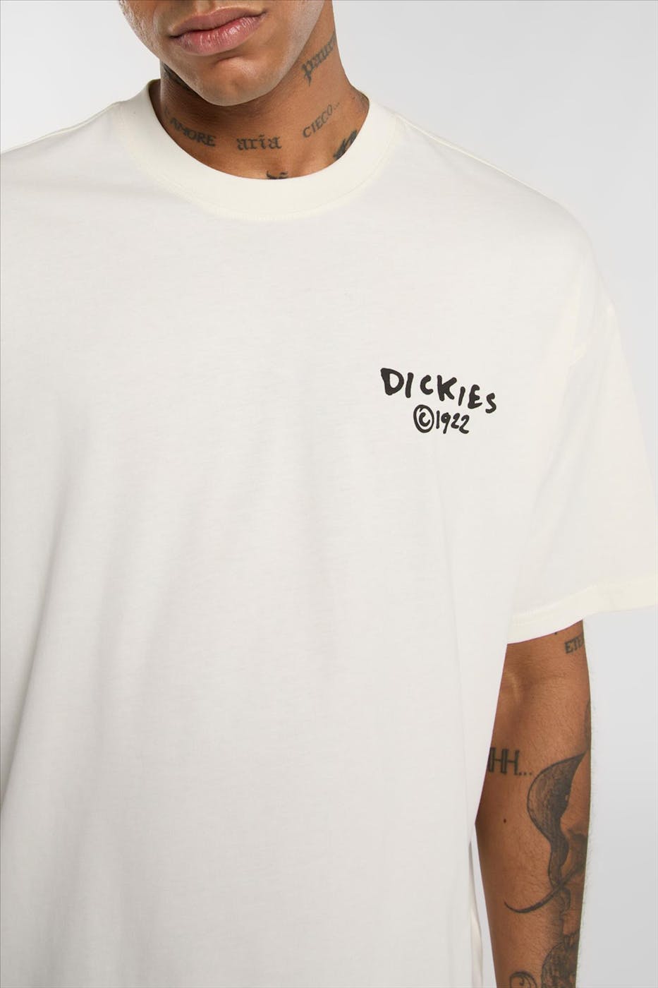 Dickies - Ecru Sneedville T-shirt