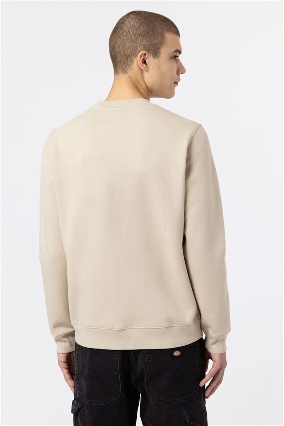 Dickies - Beige Oakport sweater