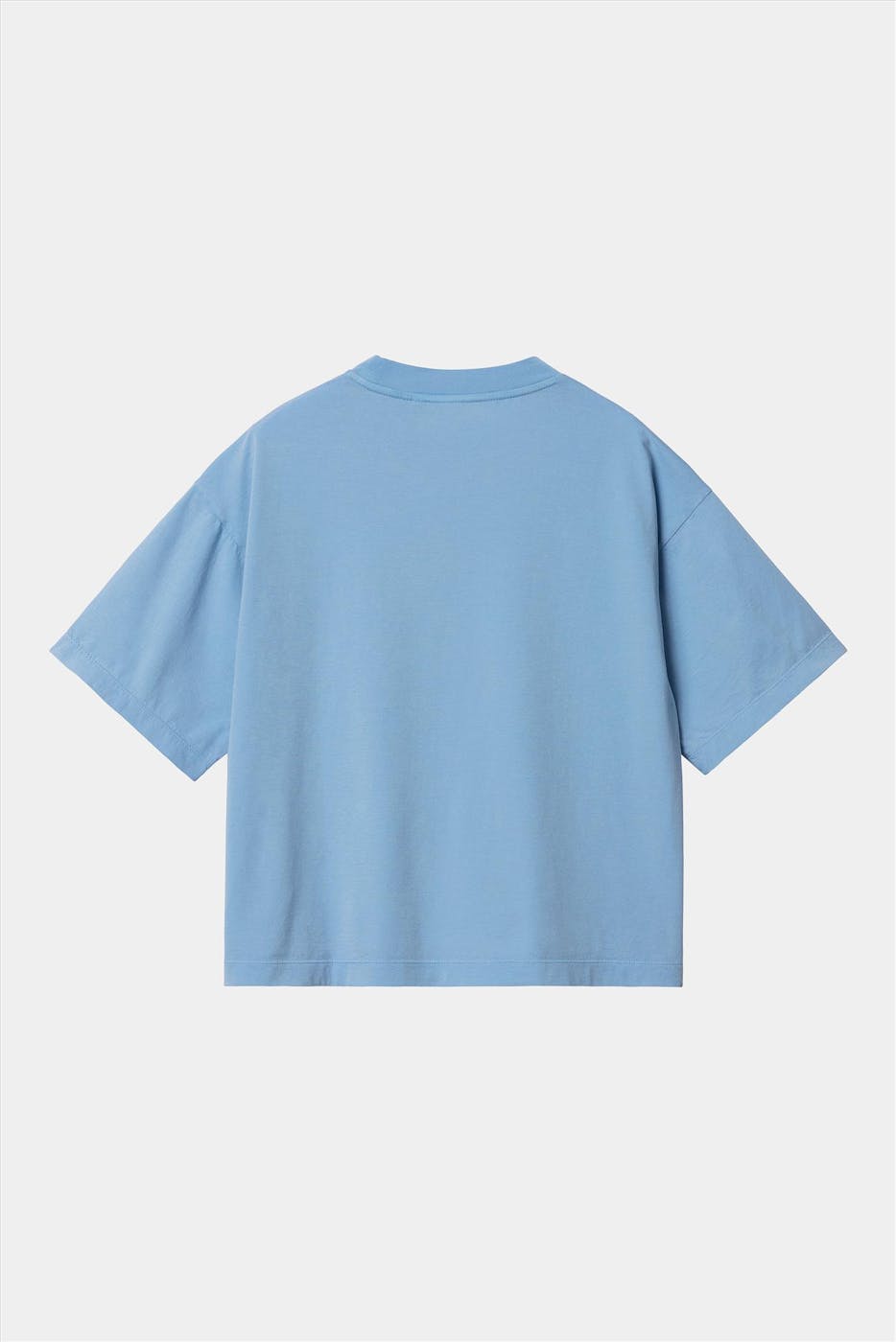 Carhartt WIP - Lichtblauwe Nelson T-shirt
