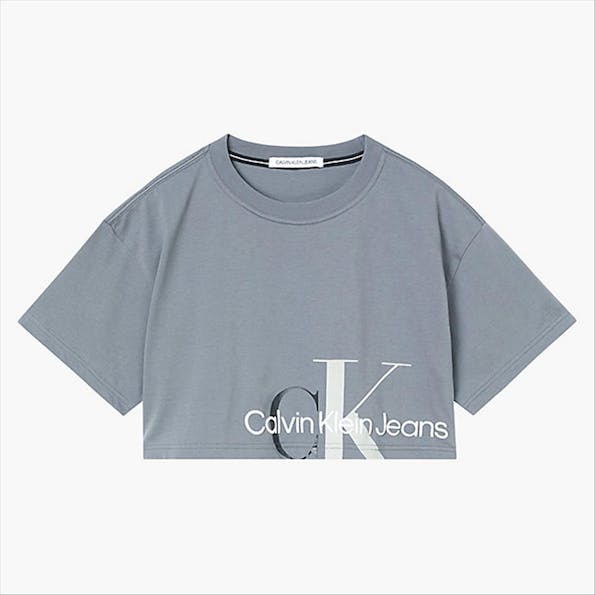 Calvin Klein Jeans - Grijze Cropped Big Logo T-shirt