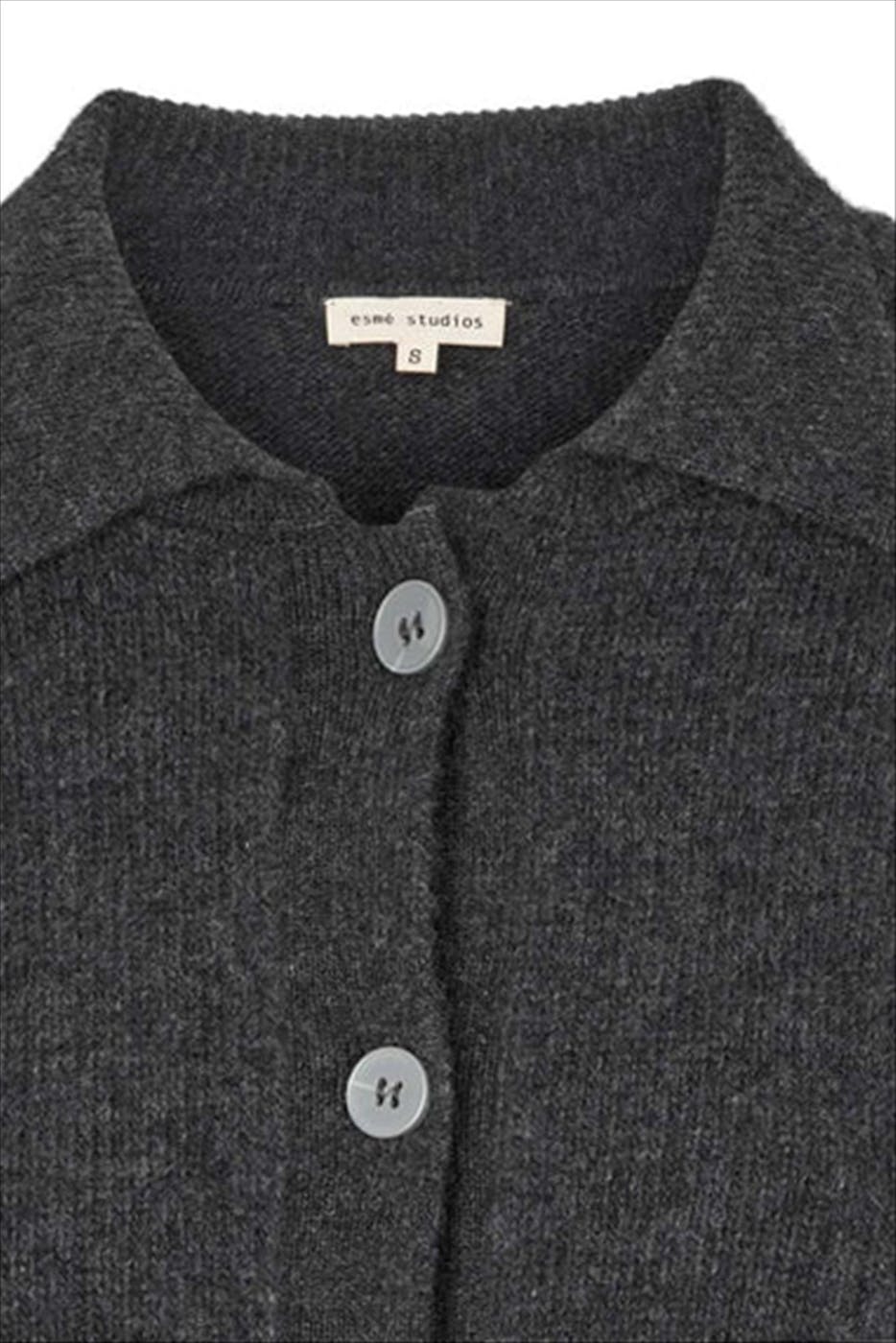esmé studios - Donkergrijze Iwona Polo trui