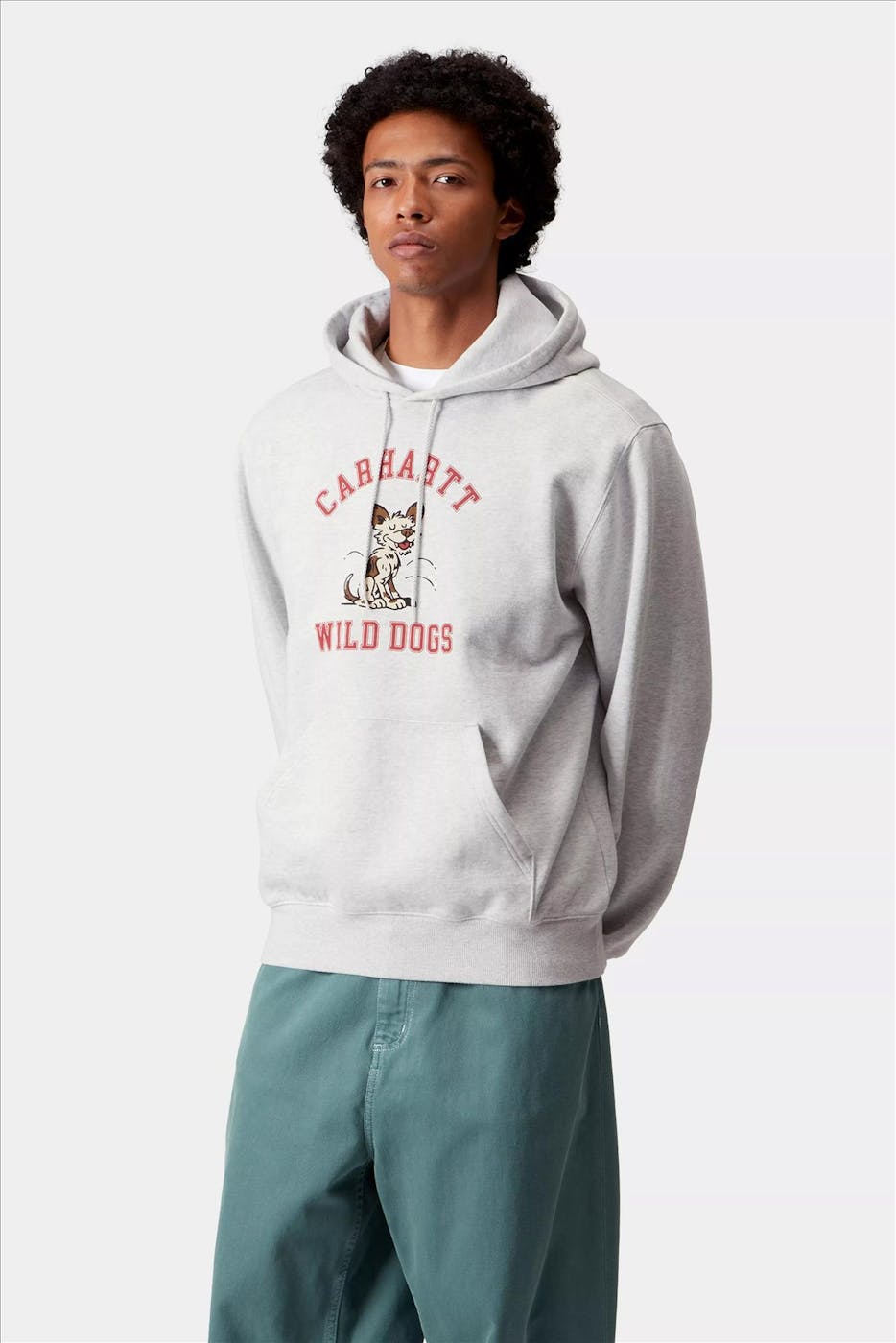 Carhartt WIP - Grijze Wild Dog hoodie