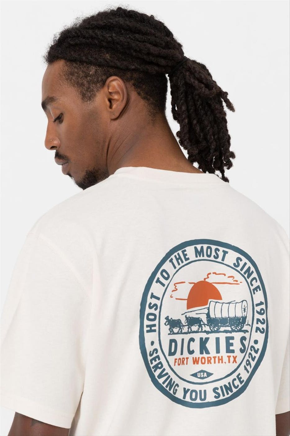 Dickies - Beige Greensburg T-shirt
