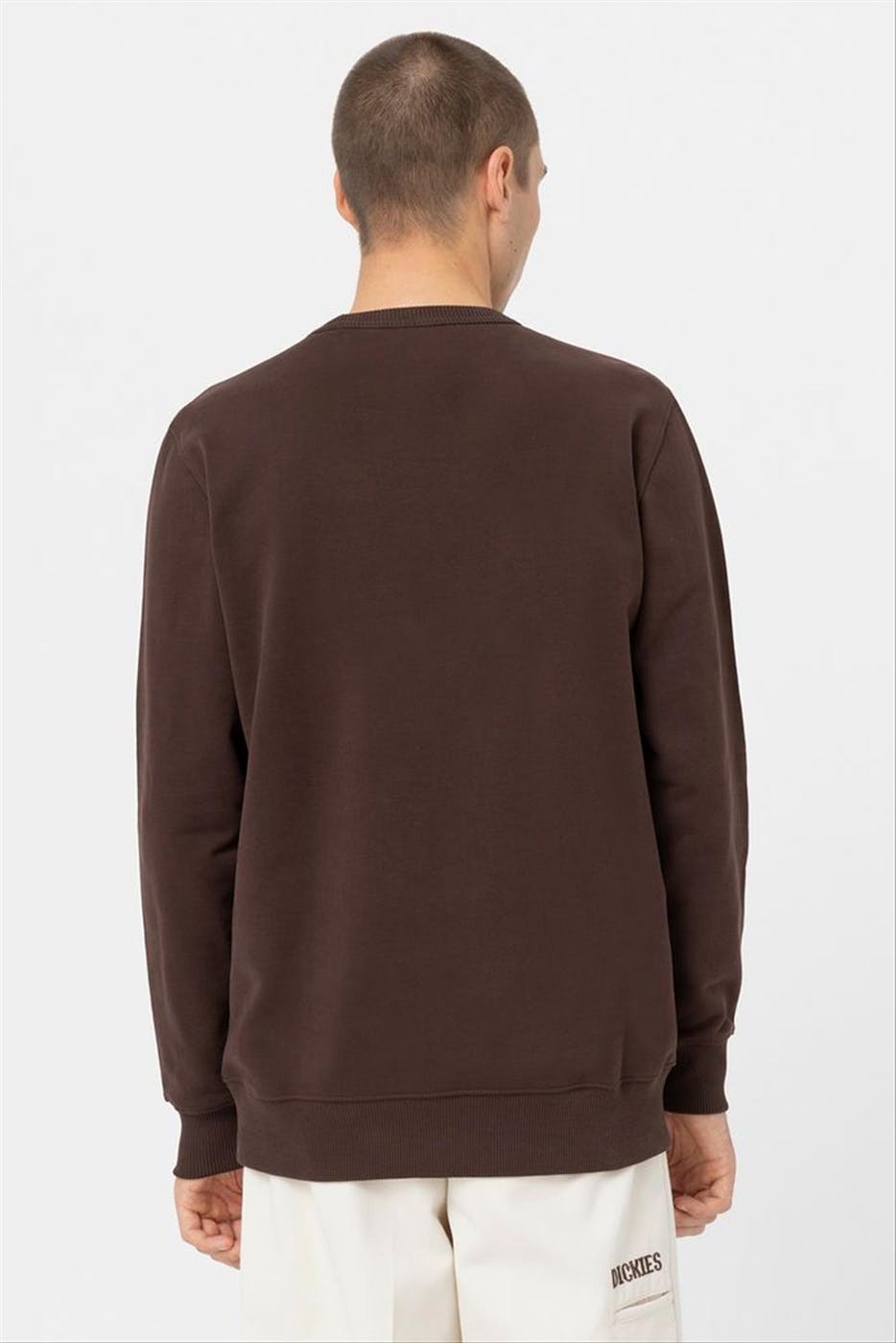 Dickies - Donkerbruine Aitkin sweater