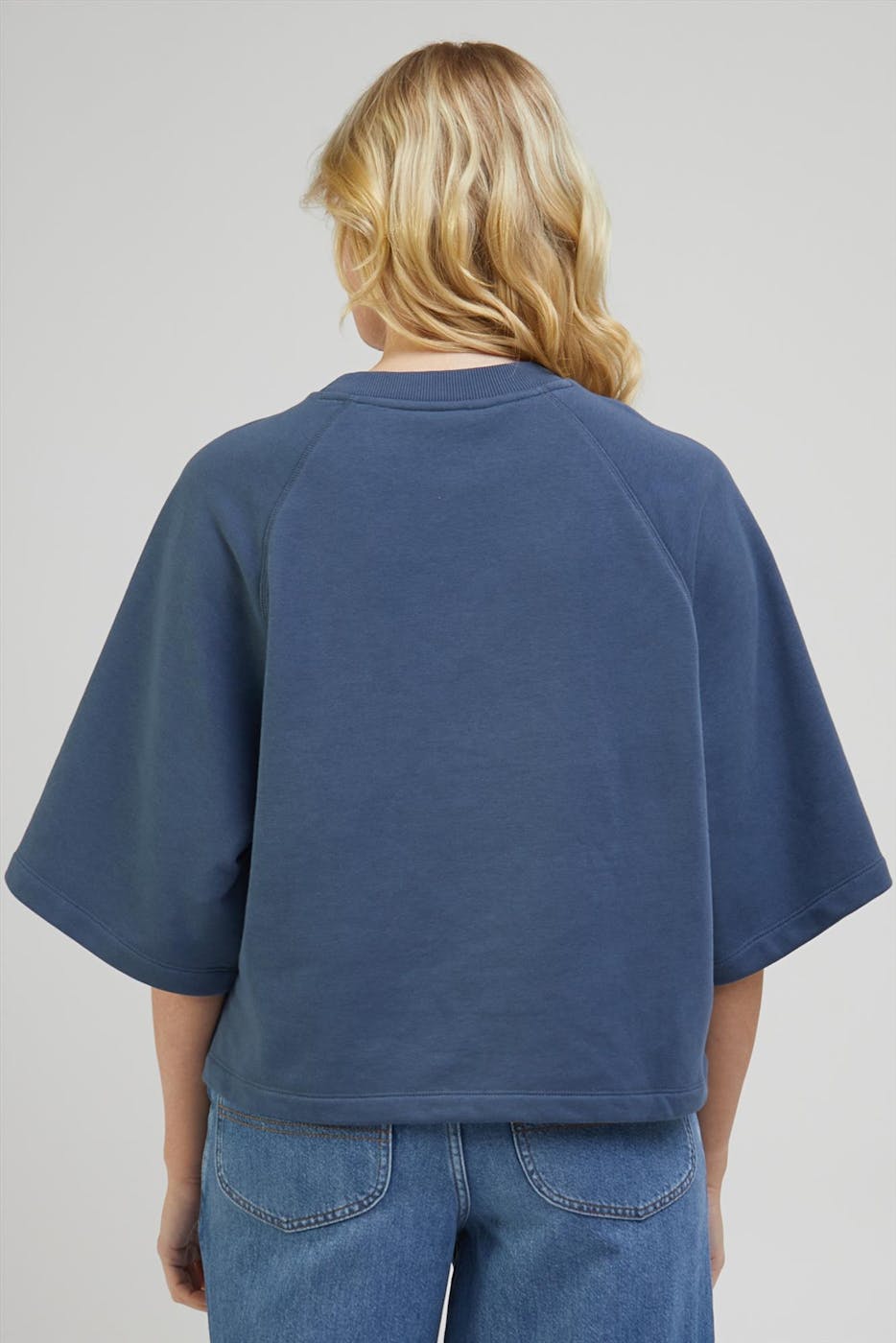 Lee - Grijsblauwe Raglan sweater