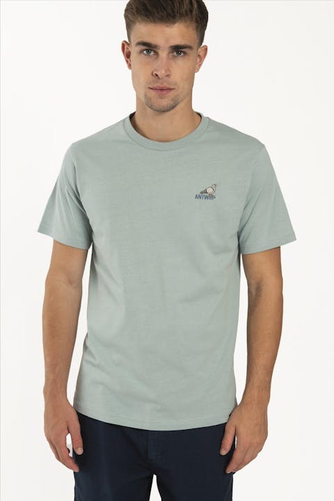 Antwrp - Groenblauwe Pigeon T-shirt