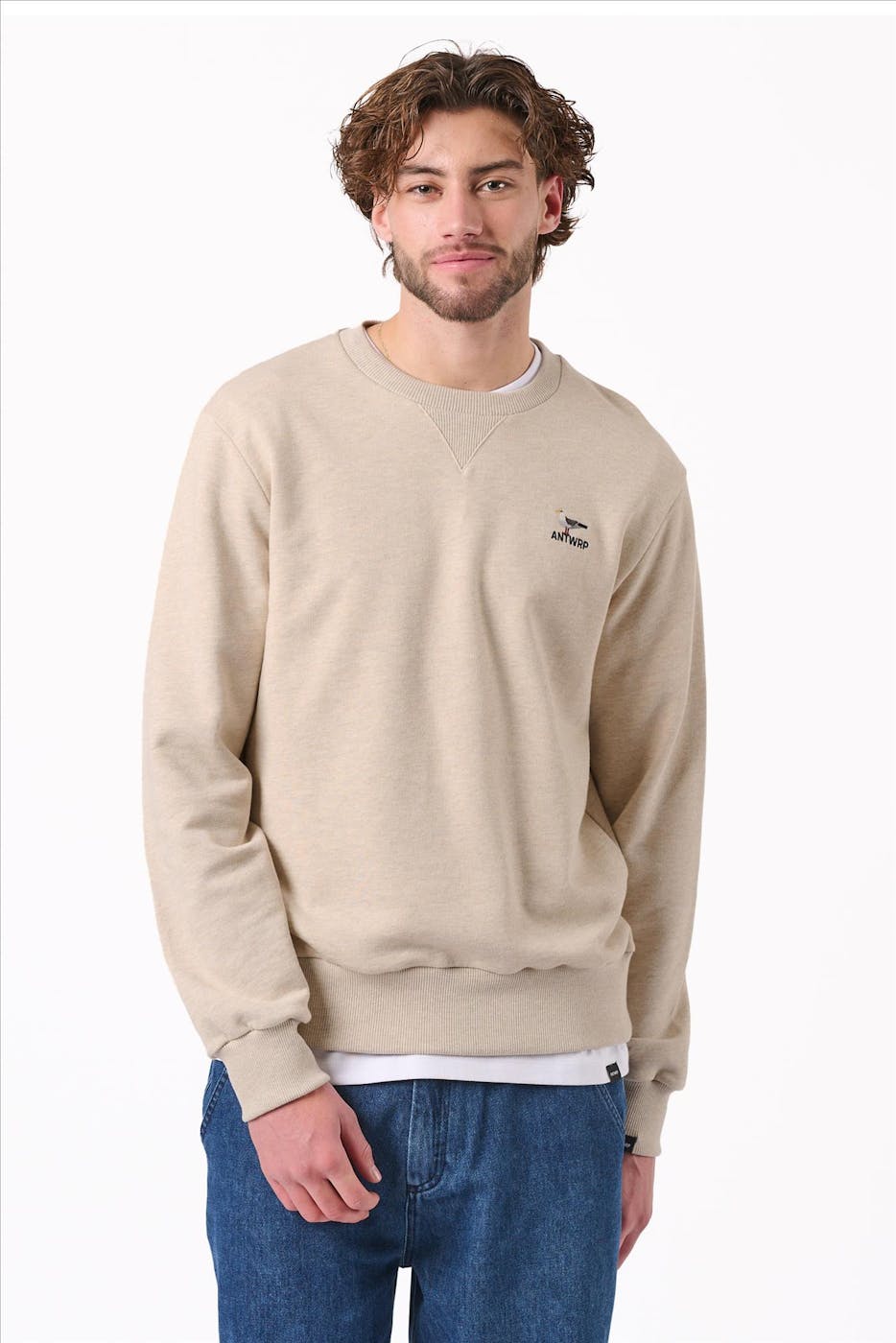 Antwrp - Beige Seagull sweater